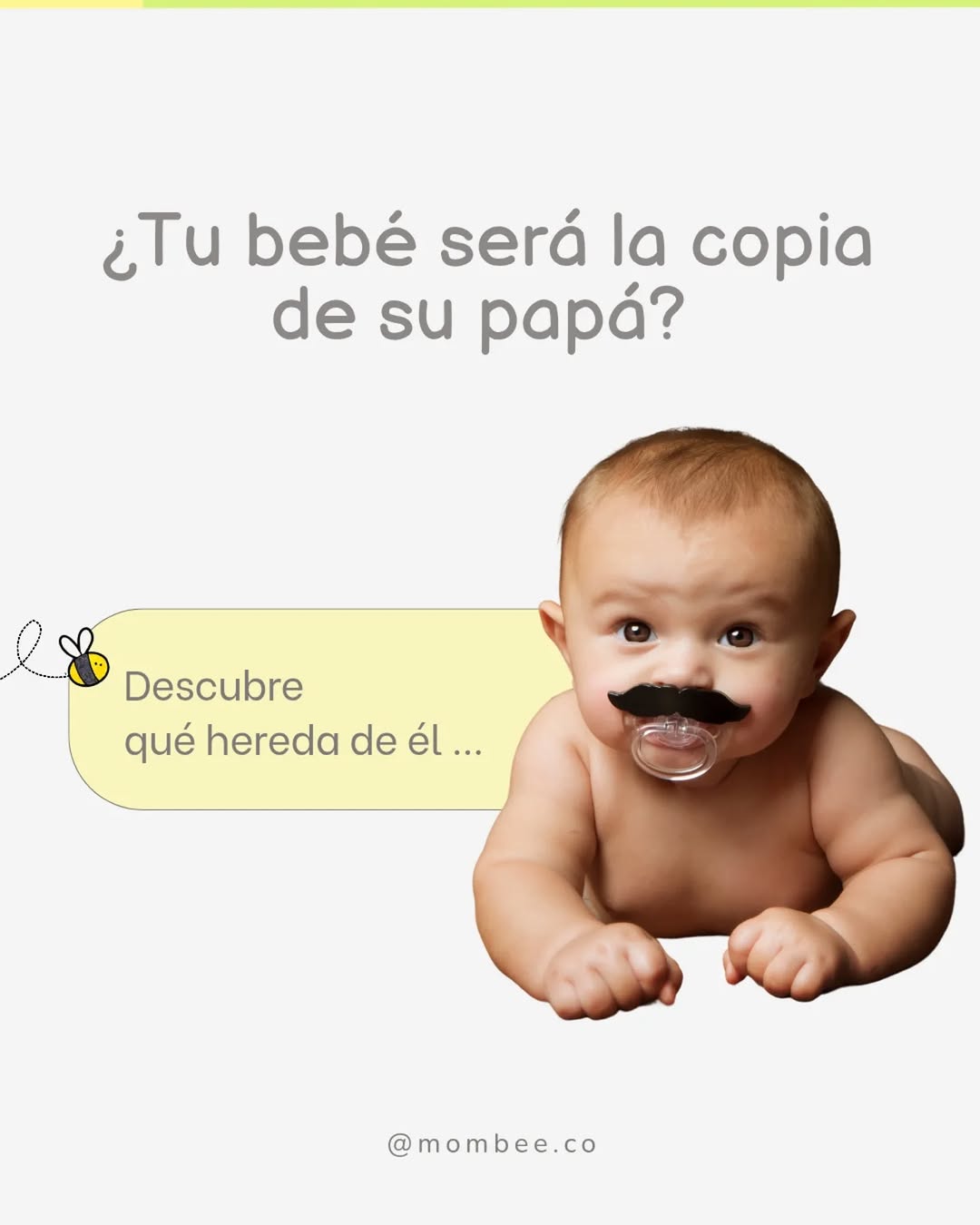 Publicación de Mombee 1