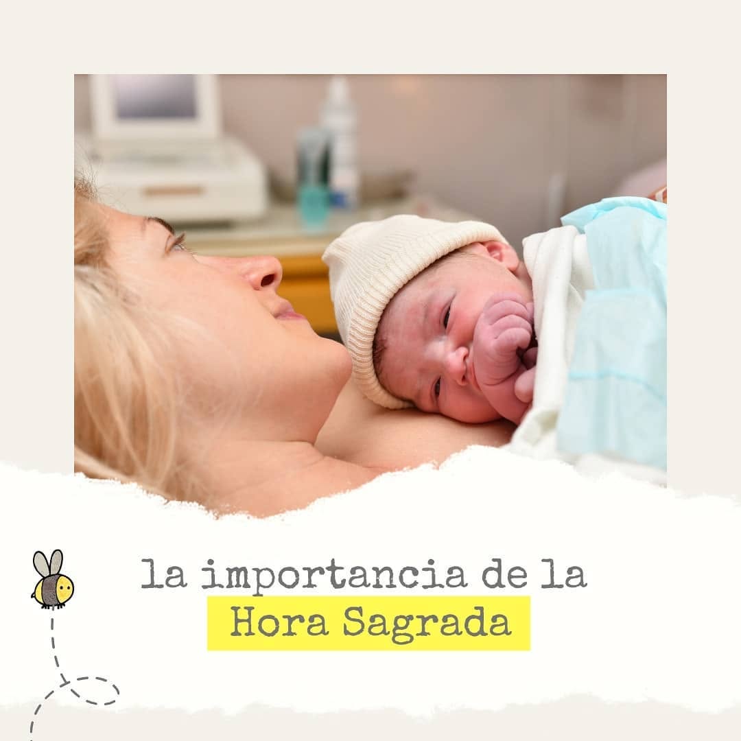 Publicación de Mombee 4