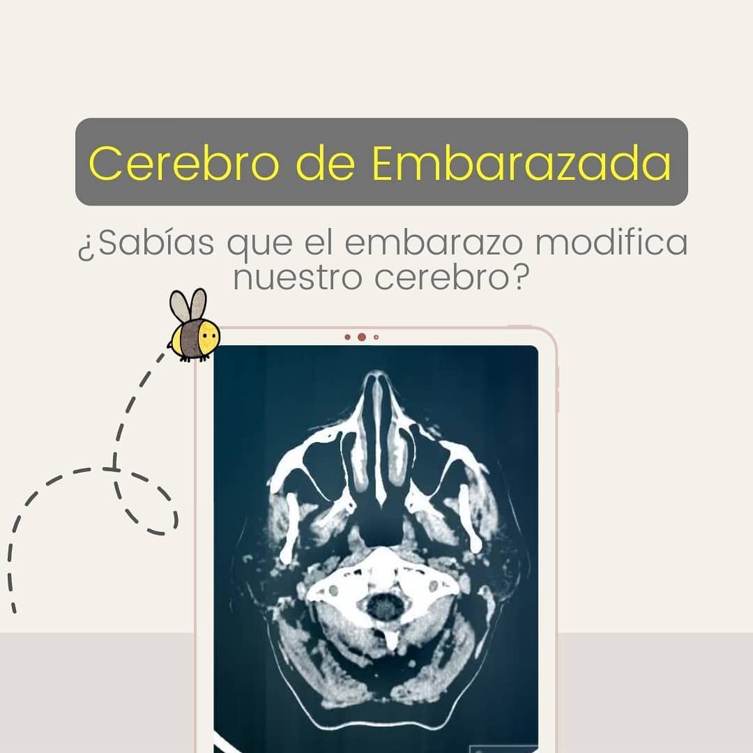 Publicación de Mombee 5